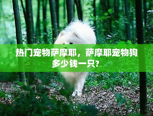 热门宠物萨摩耶，萨摩耶宠物狗多少钱一只? 