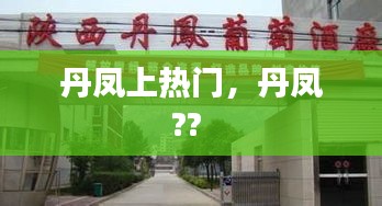 丹凤上热门，丹凤?? 