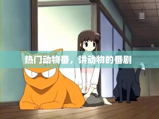 产品展示 第175页