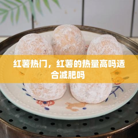 红薯热门，红薯的热量高吗适合减肥吗 