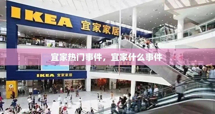 宜家热门事件，宜家什么事件 