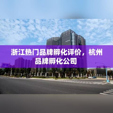浙江热门品牌孵化评价，杭州品牌孵化公司 