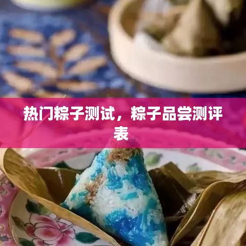 热门粽子测试，粽子品尝测评表 