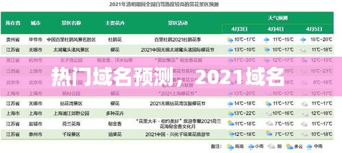 热门域名预测，2021域名 
