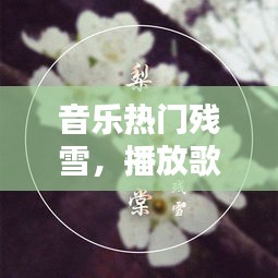 音乐热门残雪，播放歌曲残雪 