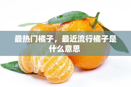 绝无仅有 第3页