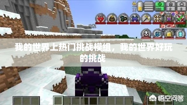 我的世界上热门挑战模组，我的世界好玩的挑战 