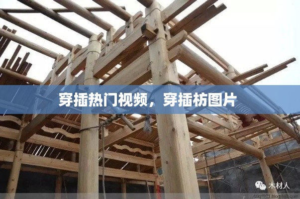 穿插热门视频，穿插枋图片 