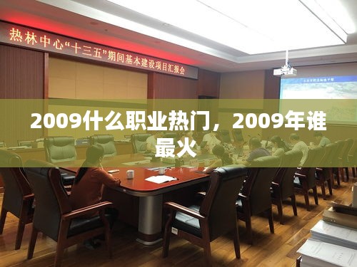 2009什么职业热门，2009年谁最火 