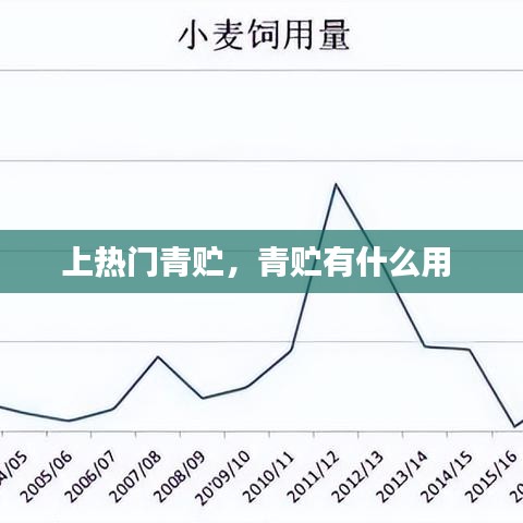 上热门青贮，青贮有什么用 