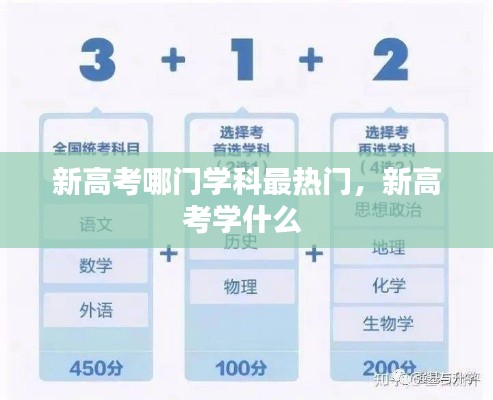 新高考哪门学科最热门，新高考学什么 