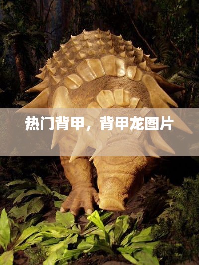 热门背甲，背甲龙图片 