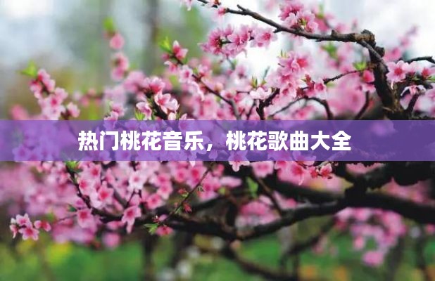 热门桃花音乐，桃花歌曲大全 