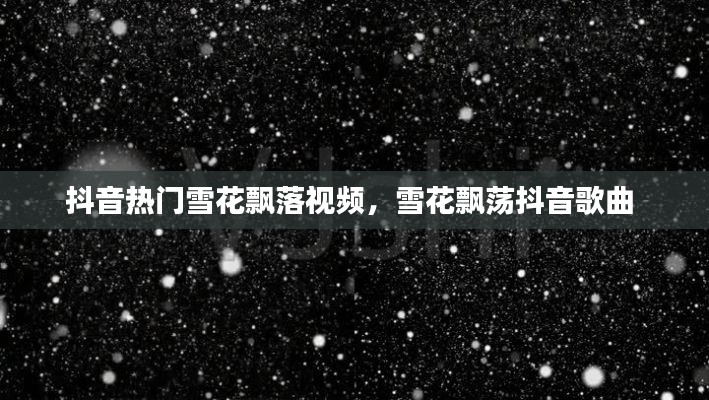 抖音热门雪花飘落视频，雪花飘荡抖音歌曲 