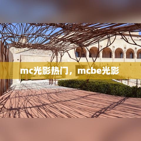 将机就机 第2页