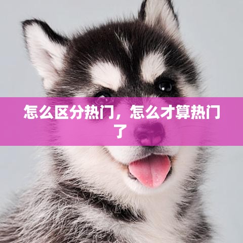 怎么区分热门，怎么才算热门了 
