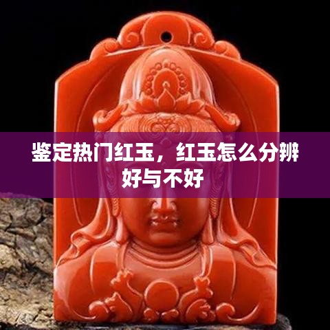 鉴定热门红玉，红玉怎么分辨好与不好 