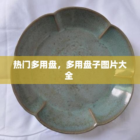 热门多用盘，多用盘子图片大全 