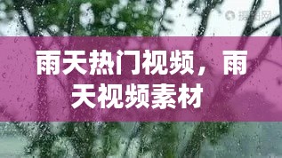 雨天热门视频，雨天视频素材 