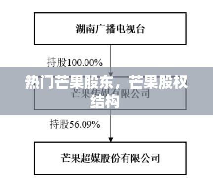 热门芒果股东，芒果股权结构 