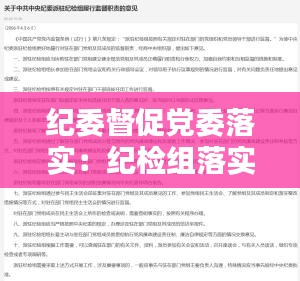 纪委督促党委落实：纪检组落实监督责任情况汇报 
