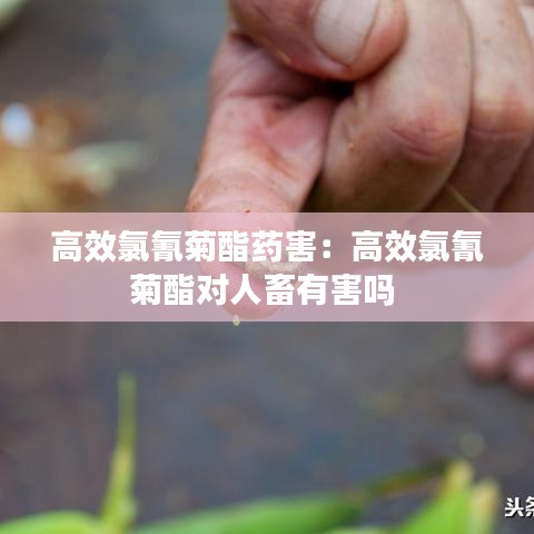 箪瓢陋巷 第2页
