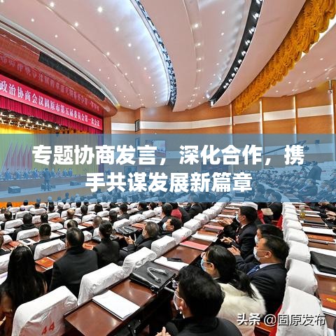 专题协商发言，深化合作，携手共谋发展新篇章