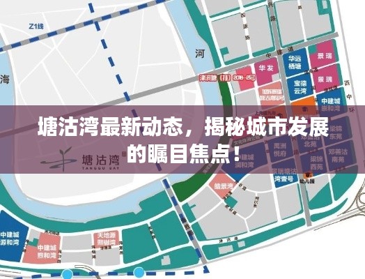 张弓拔弩 第2页