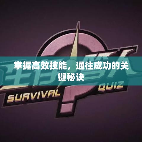 掌握高效技能，通往成功的关键秘诀