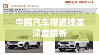 中国汽车报道独家深度解析