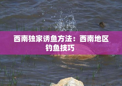 西南独家诱鱼方法：西南地区钓鱼技巧 