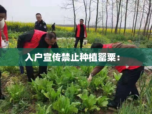 仙风道骨 第2页