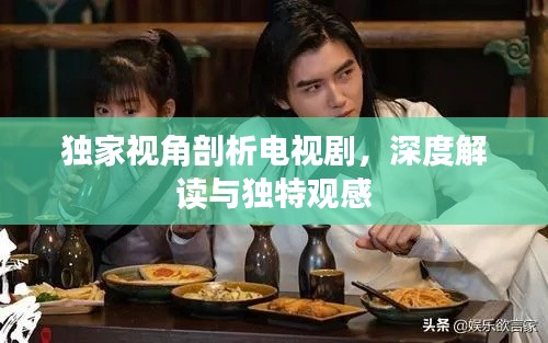 独家视角剖析电视剧，深度解读与独特观感