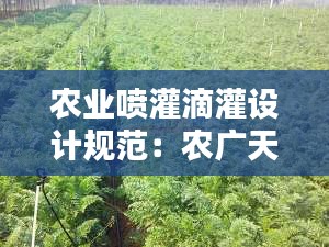 农业喷灌滴灌设计规范：农广天地喷灌滴灌节水灌溉技术 