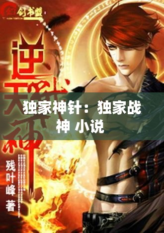 独家神针：独家战神 小说 