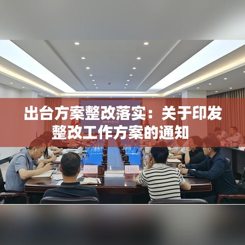 出台方案整改落实：关于印发整改工作方案的通知 