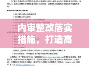 内审整改落实措施，打造高效企业内部管理体系