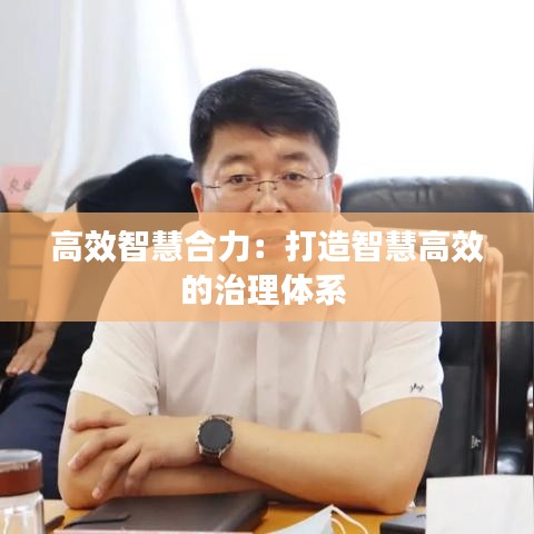 高效智慧合力：打造智慧高效的治理体系 