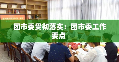 团市委贯彻落实：团市委工作要点 