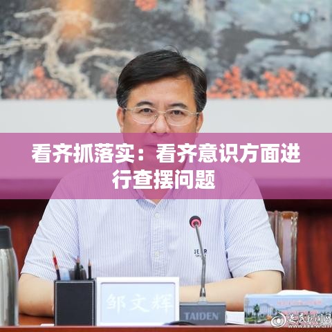 看齐抓落实：看齐意识方面进行查摆问题 