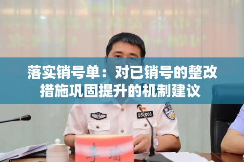 落实销号单：对已销号的整改措施巩固提升的机制建议 