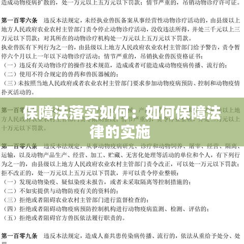 保障法落实如何：如何保障法律的实施 