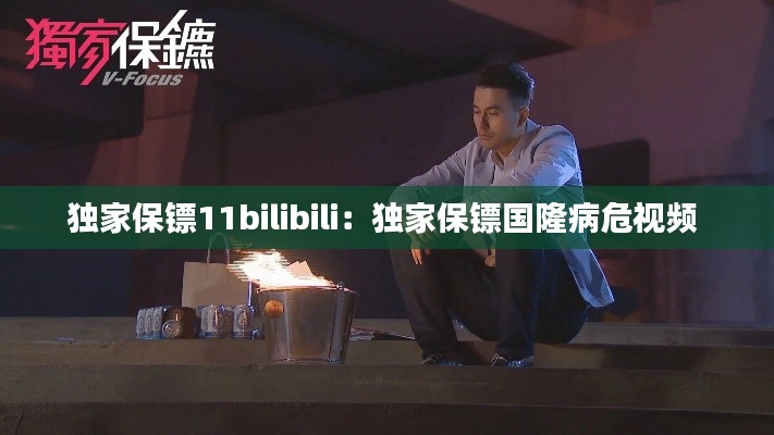 独家保镖11bilibili：独家保镖国隆病危视频 