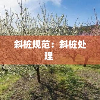 斜桩规范：斜桩处理 
