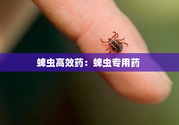 百鸟齐鸣 第2页