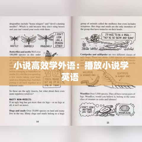 小说高效学外语：播放小说学英语 