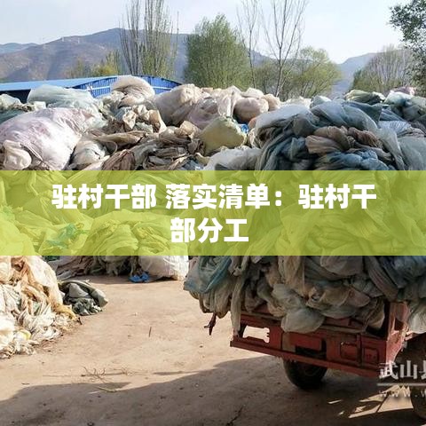 驻村干部 落实清单：驻村干部分工 