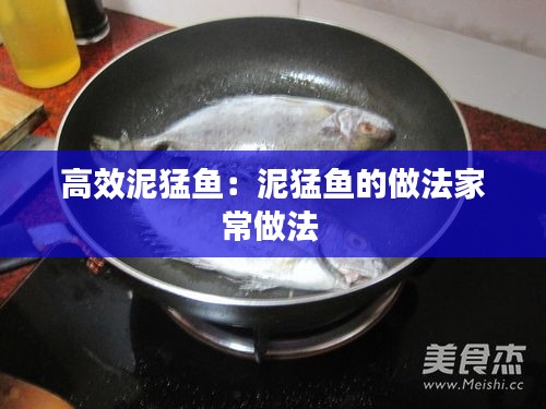 高效泥猛鱼：泥猛鱼的做法家常做法 