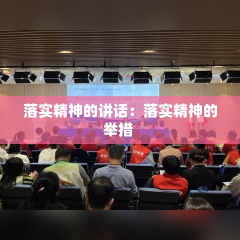 落实精神的讲话：落实精神的举措 