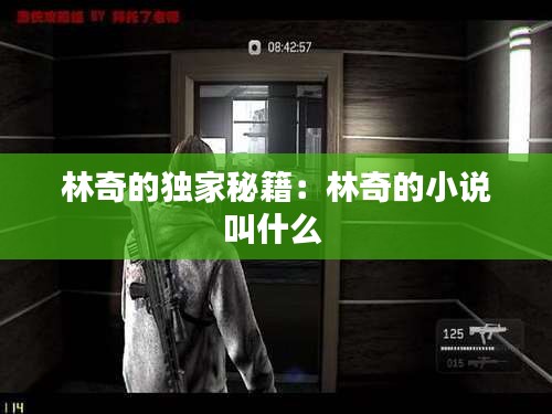 林奇的独家秘籍：林奇的小说叫什么 